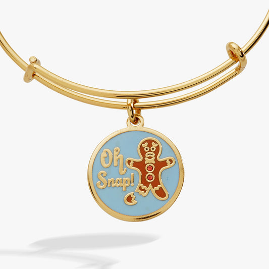 Alex and Ani Oh Snap! EWB
