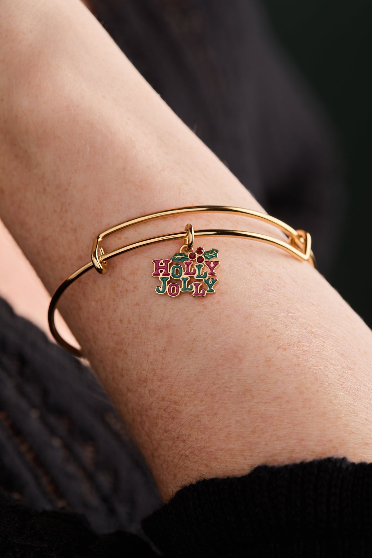 Alex and Ani Holly Bangle