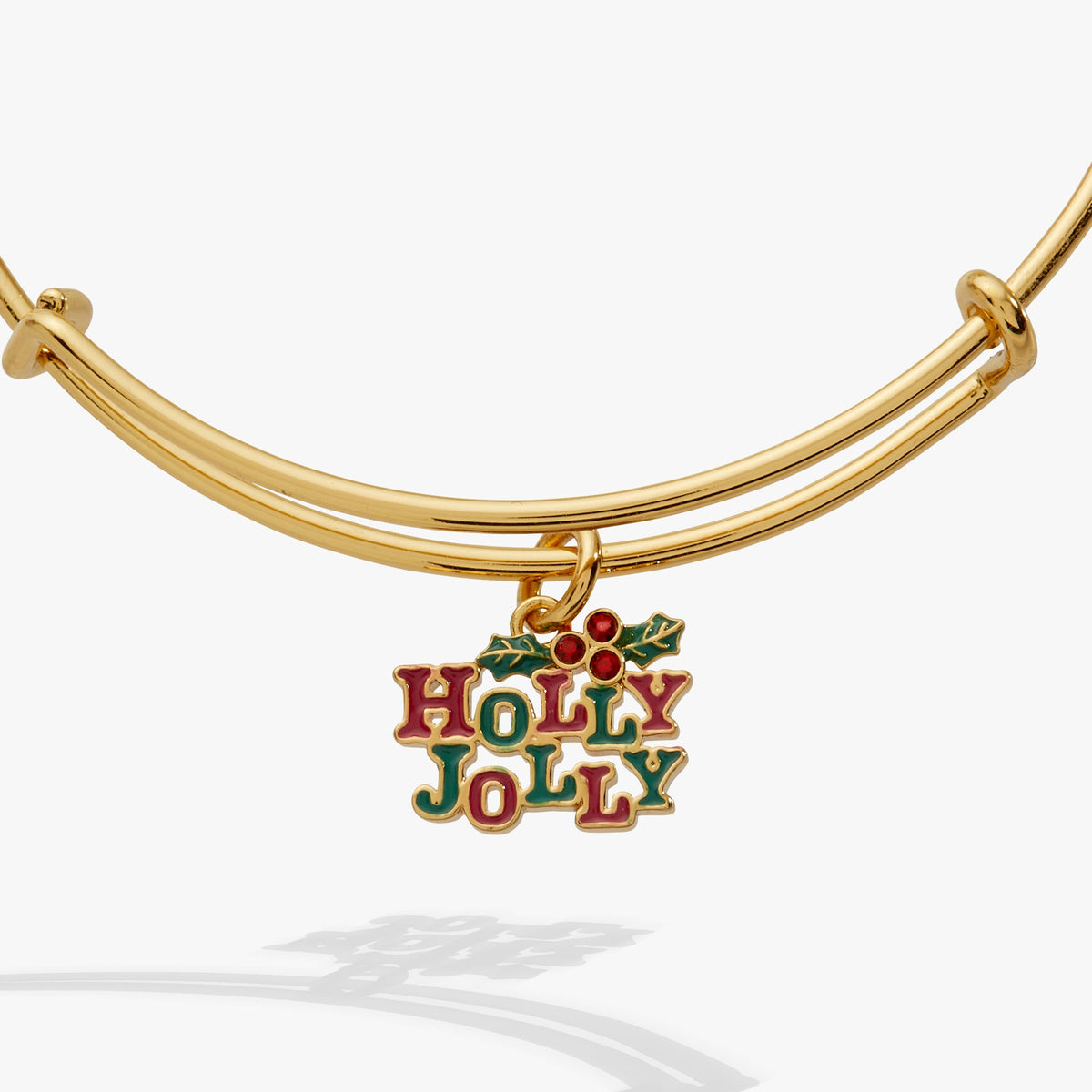 Alex and Ani Holly Bangle