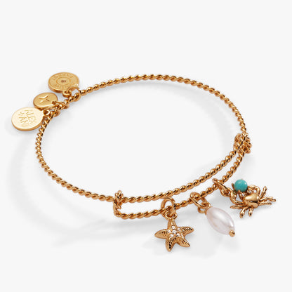 Alex and Ani Seaside Charm Bangle