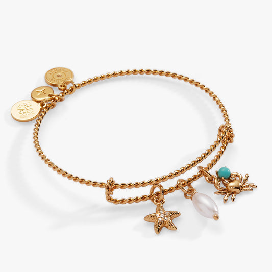 Alex and Ani Seaside Charm Bangle