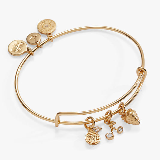 Alex and Ani Fresh Orchard Charm Bangle