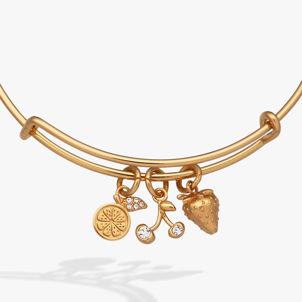 Alex and Ani Fresh Orchard Charm Bangle