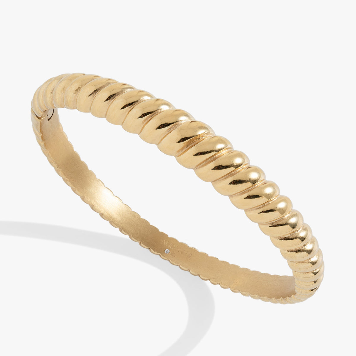 Alex and Ani Stainless Steel Rope Textured Bangle