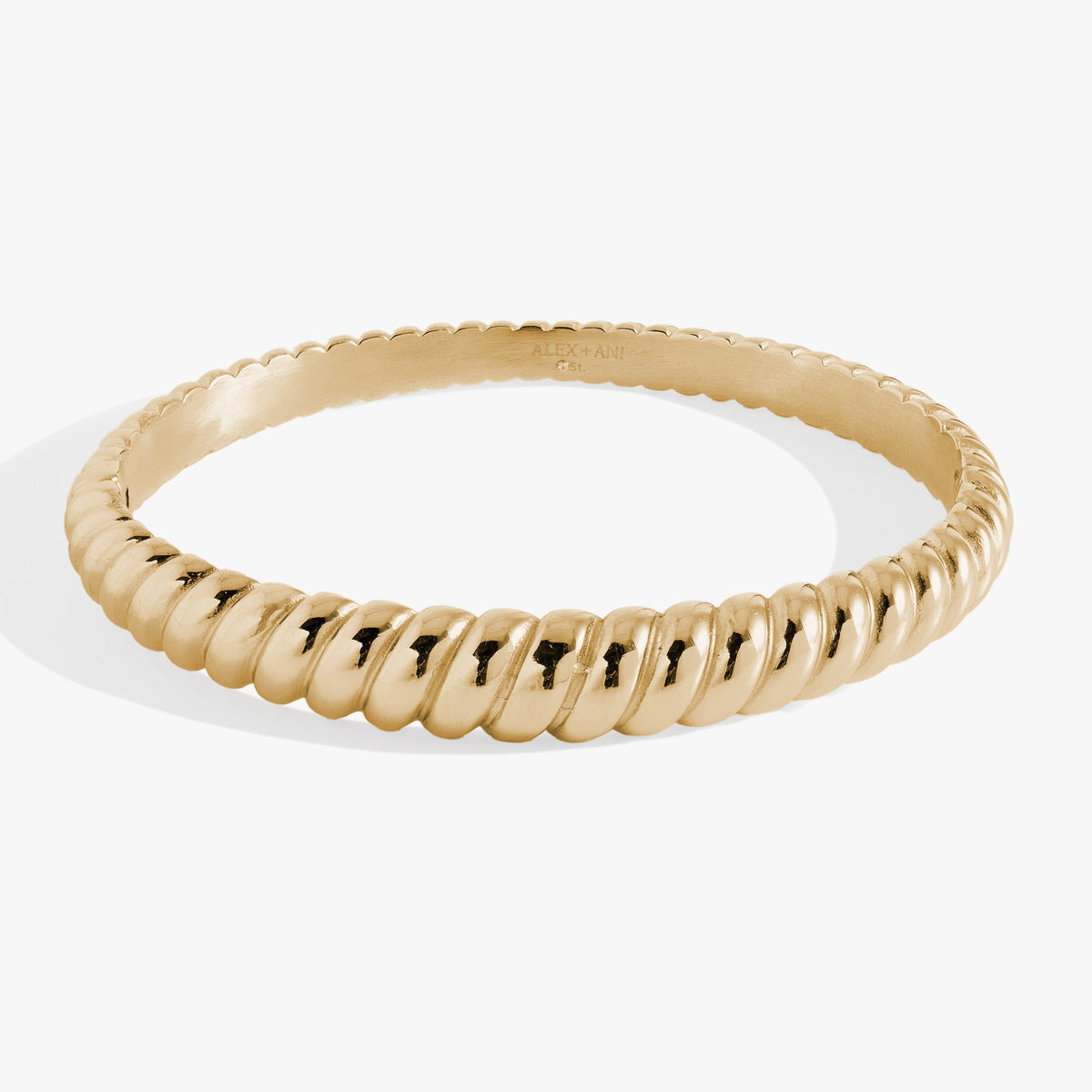 Alex and Ani Stainless Steel Rope Textured Bangle