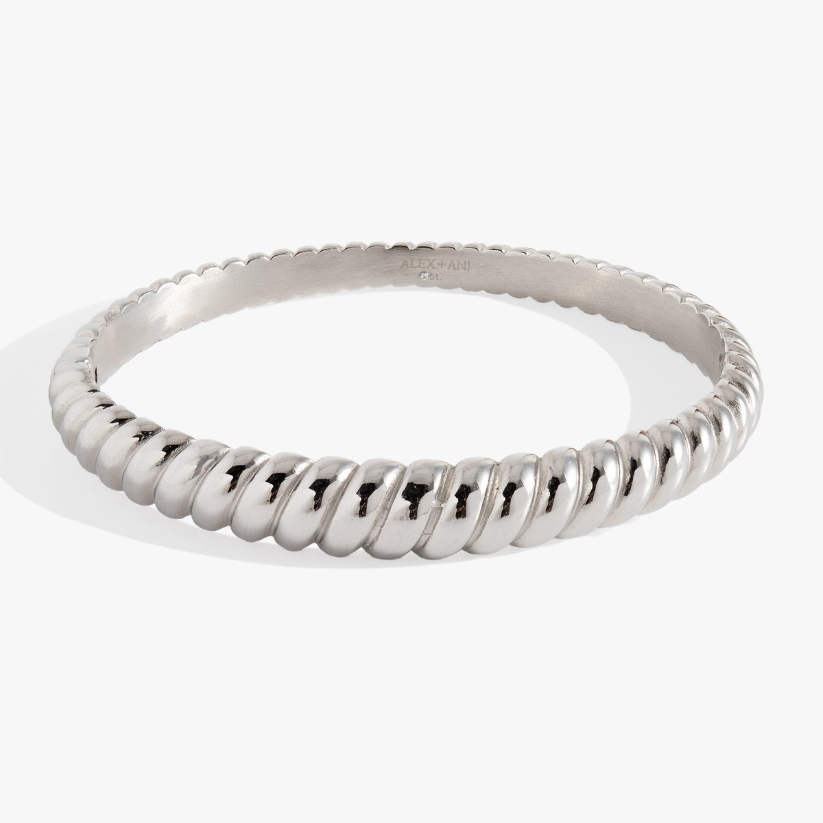 Alex and Ani Stainless Steel Rope Textured Bangle