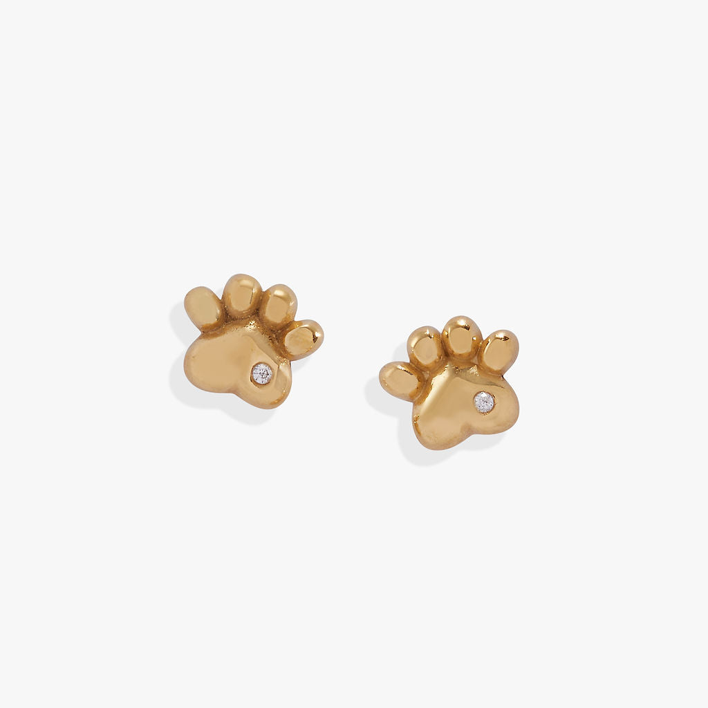 Alex and Ani Crystal Paw Mini Stud Earrings