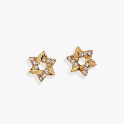 Alex and Ani Star of David Mini Stud Earrings