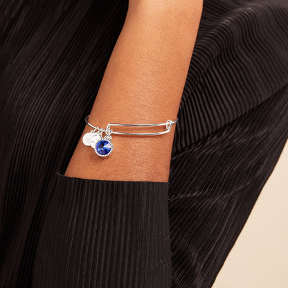 Alex and Ani Sapphire September Birthstone Charm Bangle