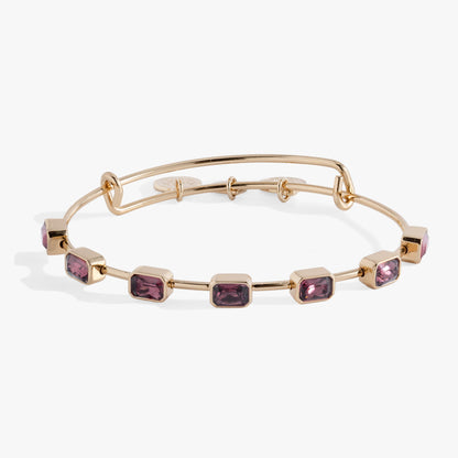 Alex and Ani February Birthstone Emerald Cut Bangle