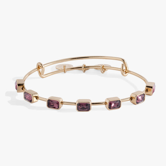 Alex and Ani February Birthstone Emerald Cut Bangle