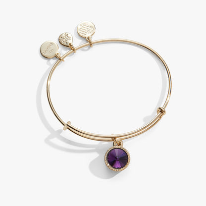 Alex and Ani Amethyst February Birthstone Charm Bangle