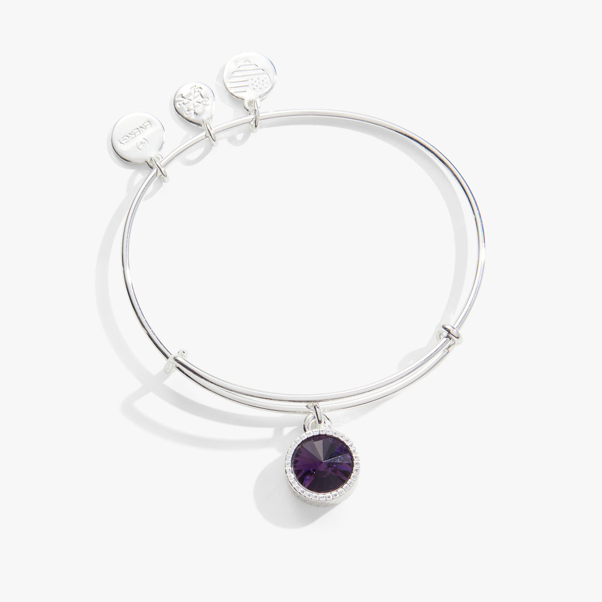 Alex and Ani Amethyst February Birthstone Charm Bangle