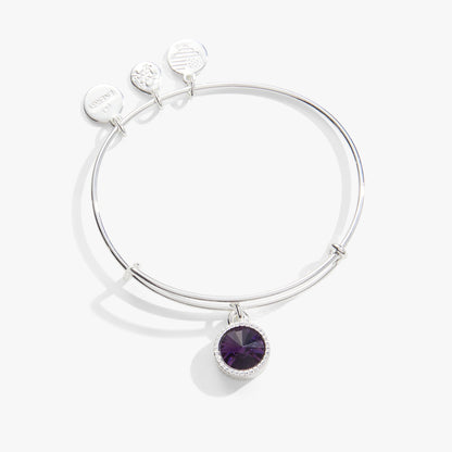 Alex and Ani Amethyst February Birthstone Charm Bangle