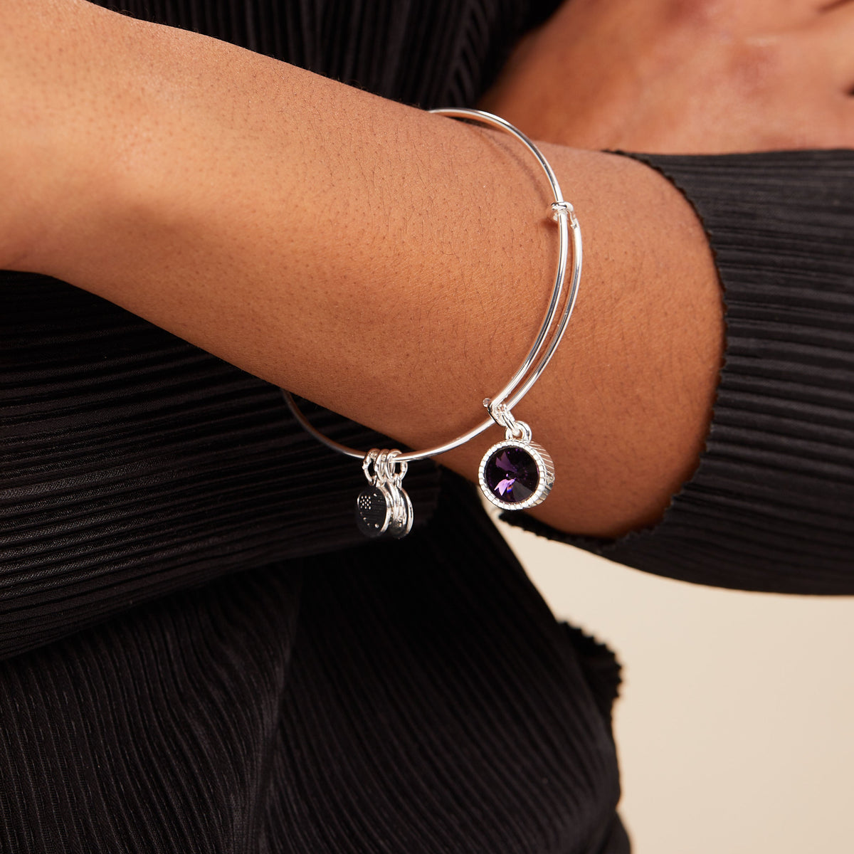 Alex and Ani Amethyst February Birthstone Charm Bangle