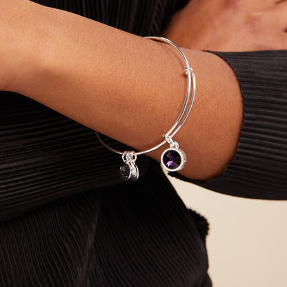 Alex and Ani Amethyst February Birthstone Charm Bangle