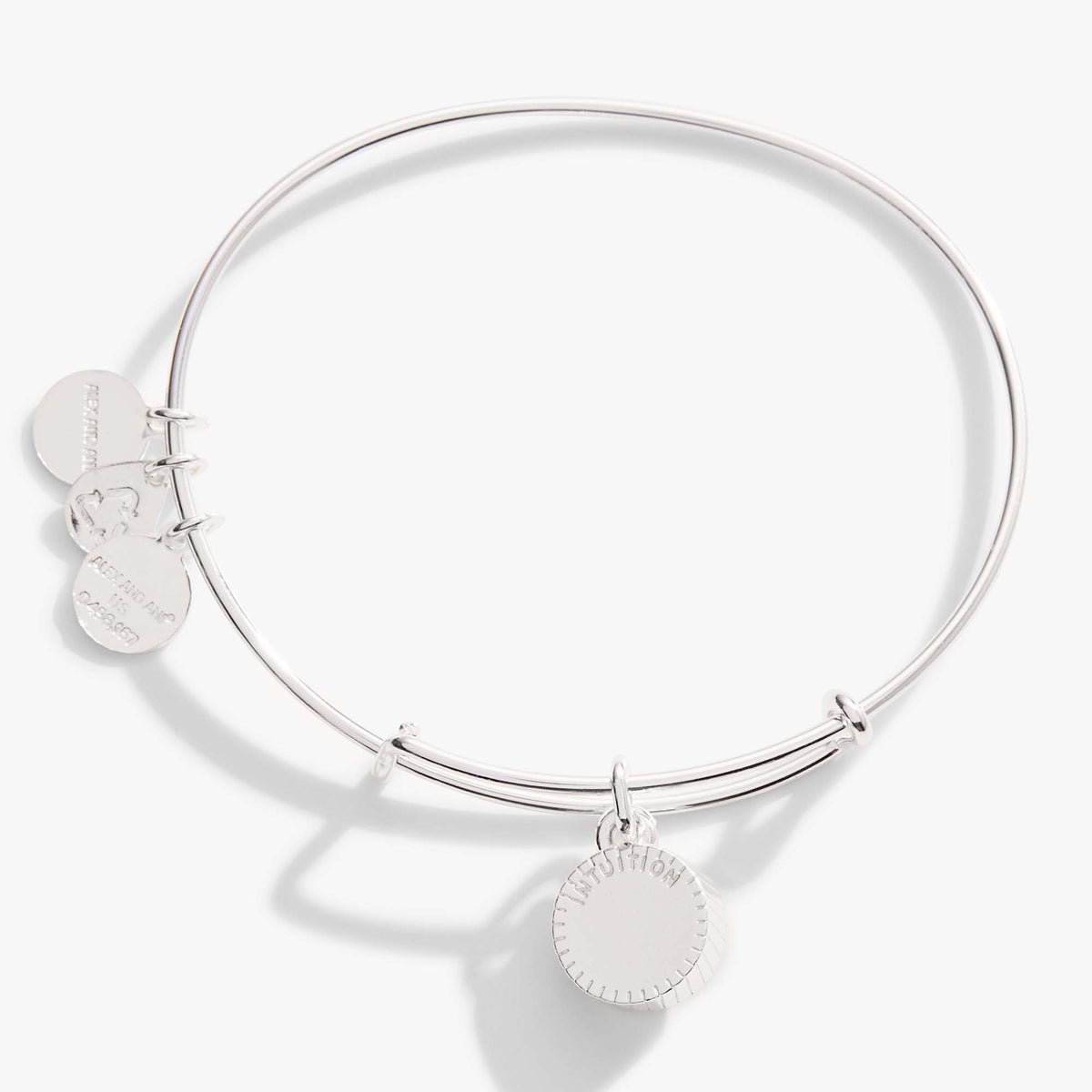 Alex and Ani Amethyst February Birthstone Charm Bangle
