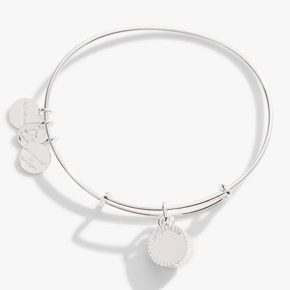 Alex and Ani Amethyst February Birthstone Charm Bangle