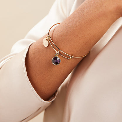 Alex and Ani Amethyst February Birthstone Charm Bangle