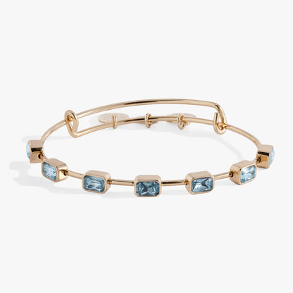 Alex and Ani March Birthstone Emerald Cut Bangle