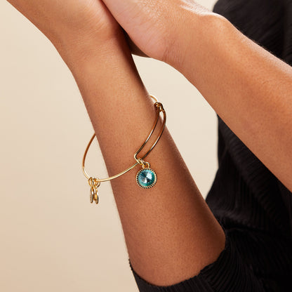 Alex and Ani Aquamarine March Birthstone Charm Bangle