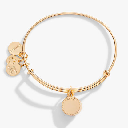 Alex and Ani Aquamarine March Birthstone Charm Bangle
