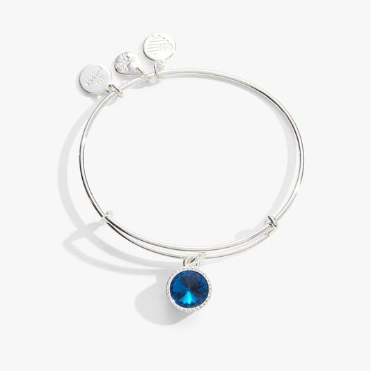Alex and Ani Blue Zircon December Birthstone Charm Bangle