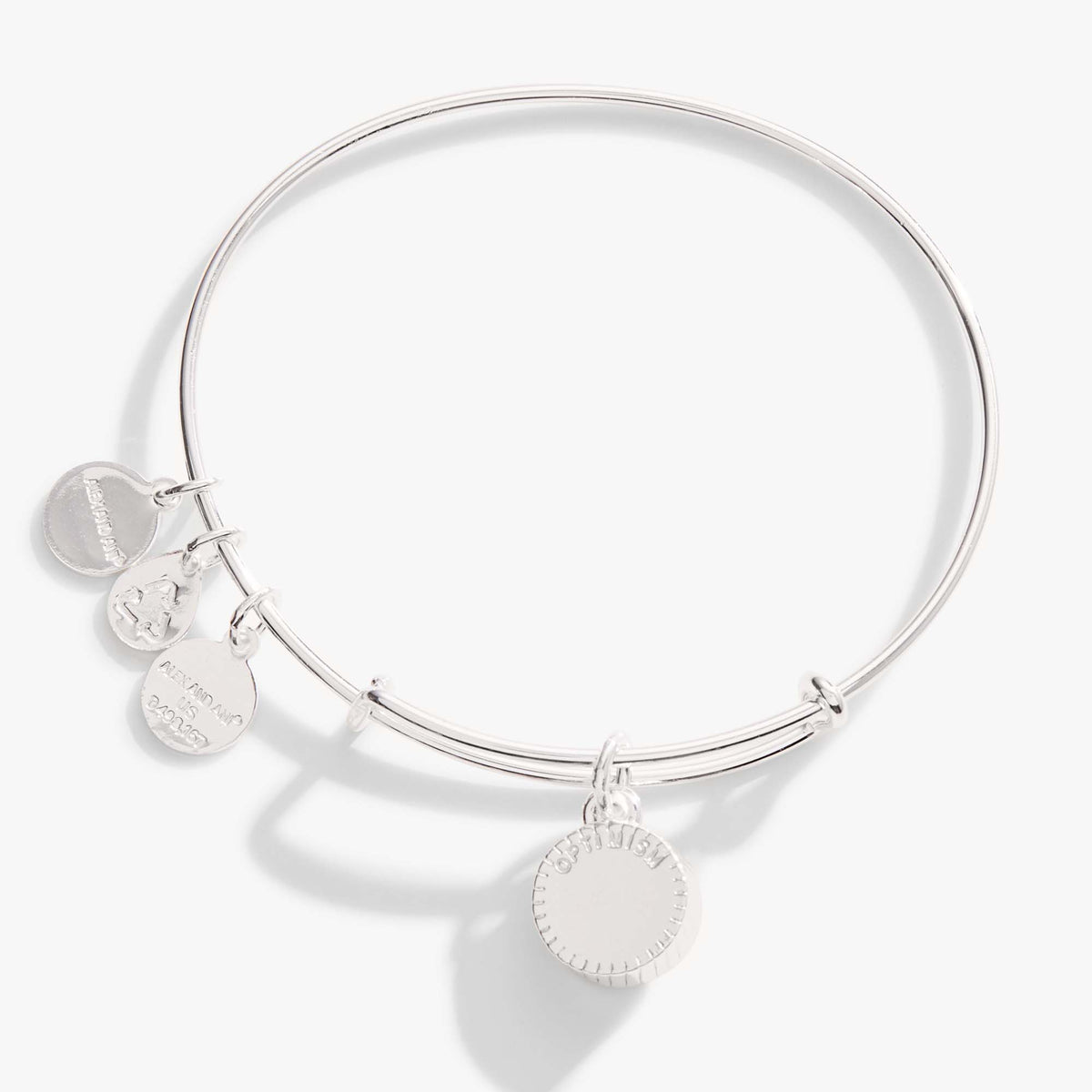 Alex and Ani Blue Zircon December Birthstone Charm Bangle