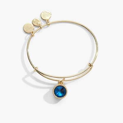 Alex and Ani Blue Zircon December Birthstone Charm Bangle