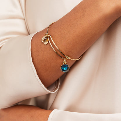 Alex and Ani Blue Zircon December Birthstone Charm Bangle