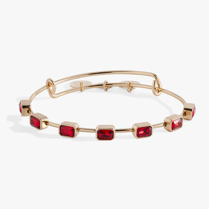 Alex and Ani January Birthstone Emerald Cut Bangle