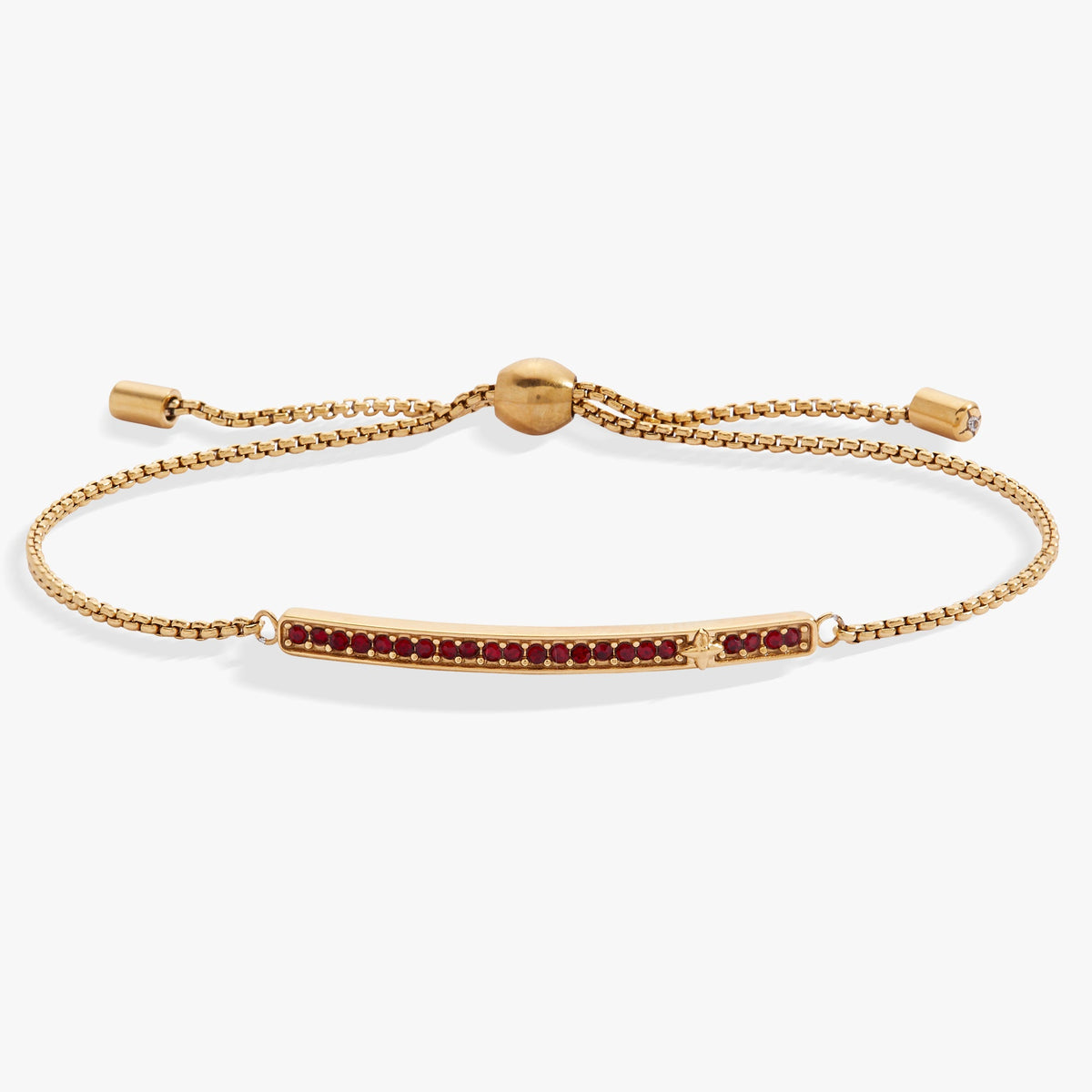 Alex and Ani Birthstone Pave Bolo - January