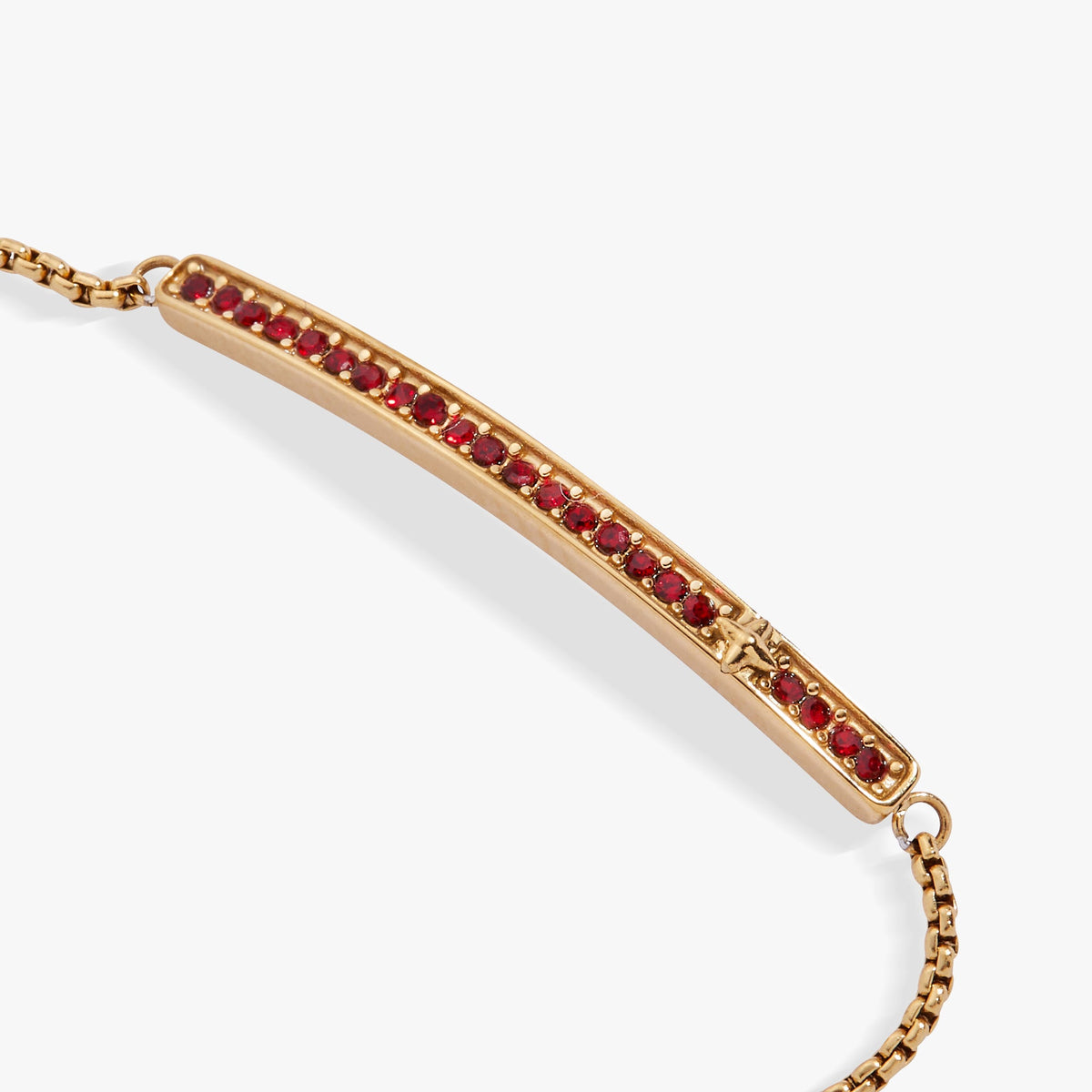 Alex and Ani Birthstone Pave Bolo - January