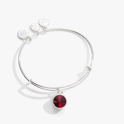 Alex and Ani Scarlet January Birthstone Charm Bangle