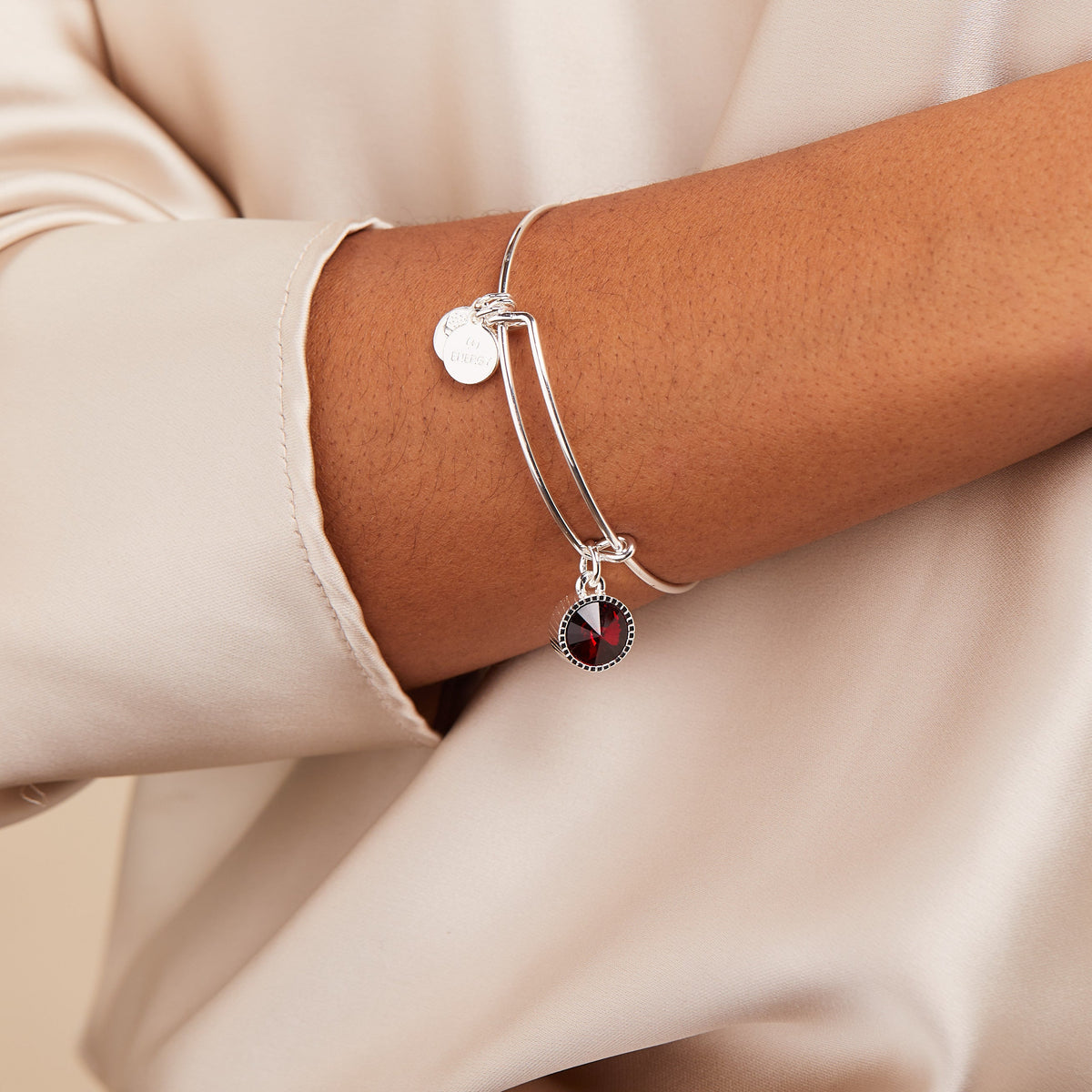 Alex and Ani Scarlet January Birthstone Charm Bangle