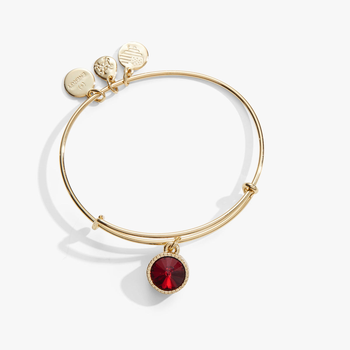 Alex and Ani Scarlet January Birthstone Charm Bangle