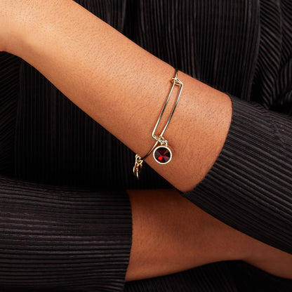 Alex and Ani Scarlet January Birthstone Charm Bangle