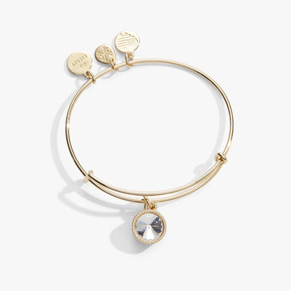 Alex and Ani Clear Crystal April Birthstone Charm Bangle