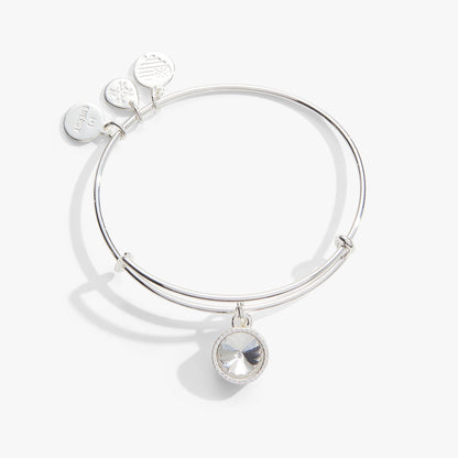 Alex and Ani Clear Crystal April Birthstone Charm Bangle