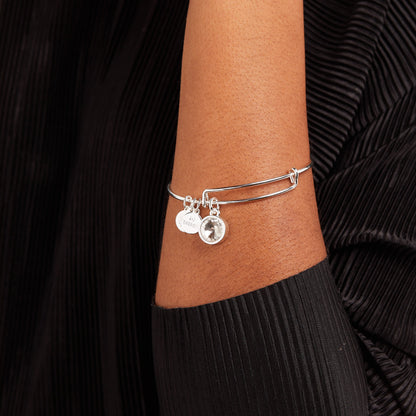Alex and Ani Clear Crystal April Birthstone Charm Bangle