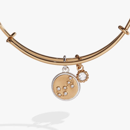 Alex and Ani Scorpio Zodiac Charm Bangle