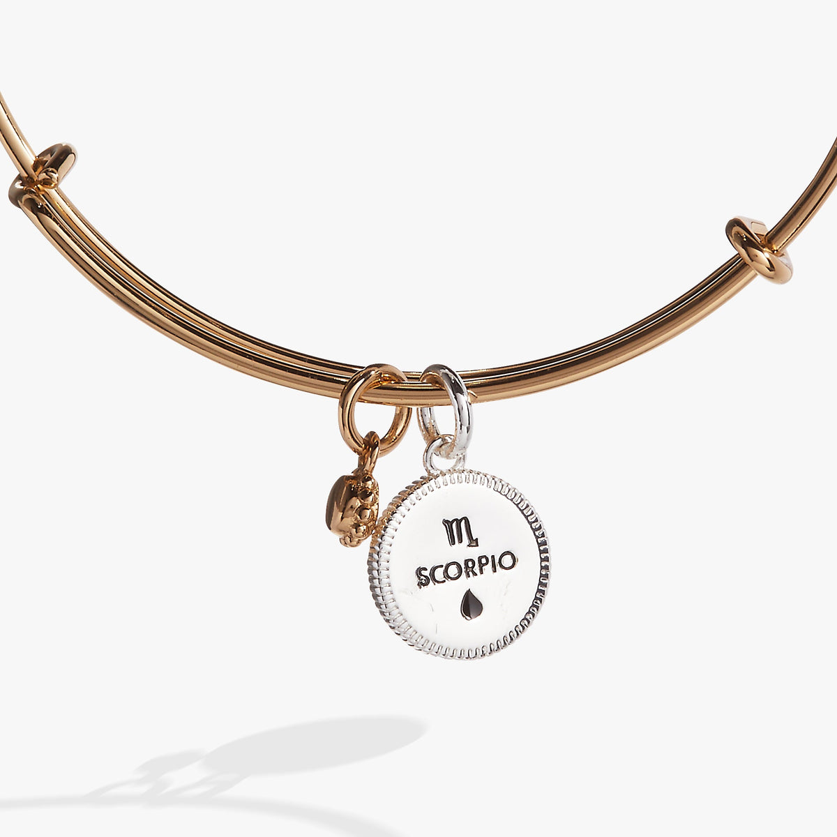 Alex and Ani Scorpio Zodiac Charm Bangle