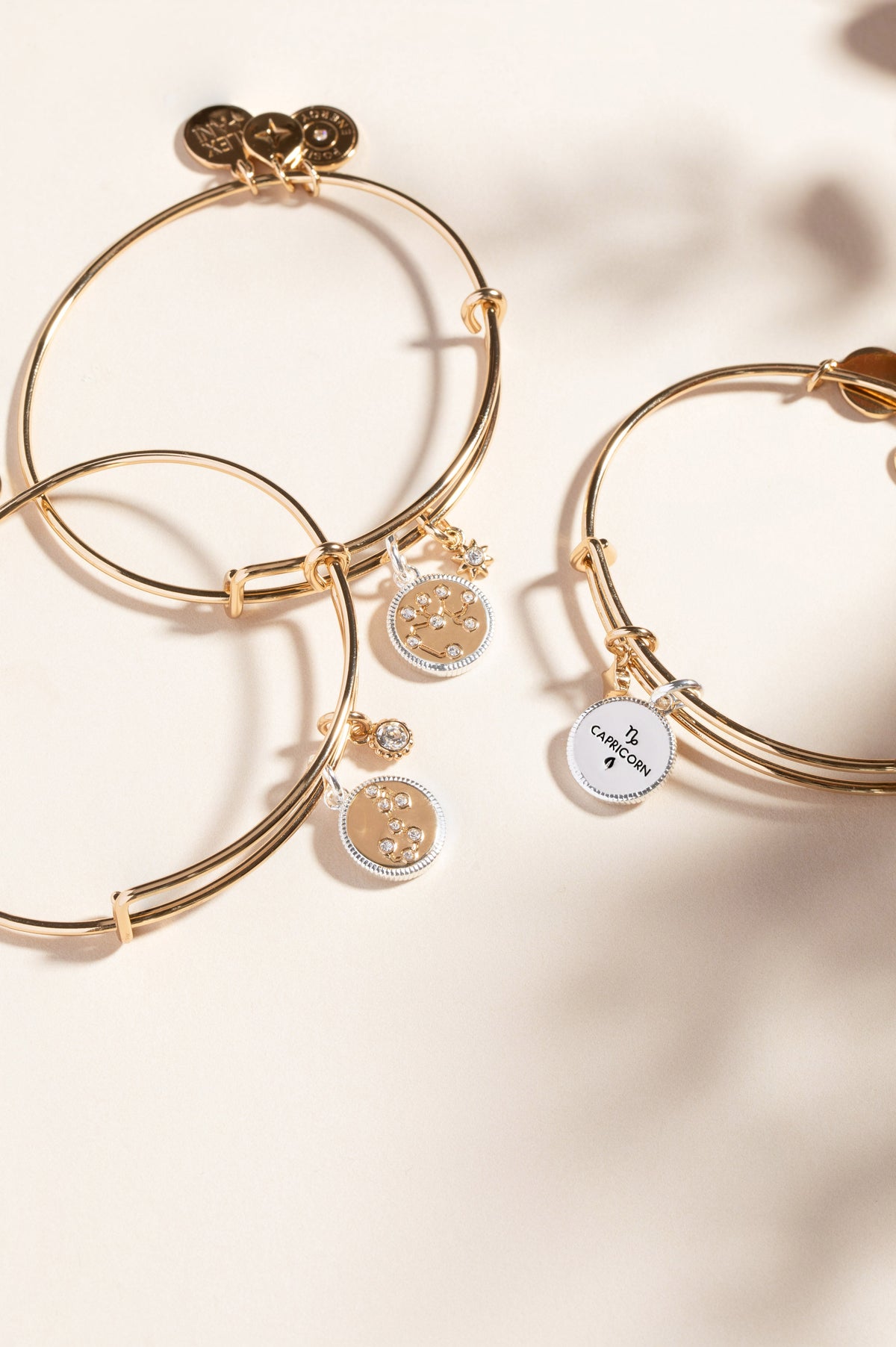 Alex and Ani Scorpio Zodiac Charm Bangle