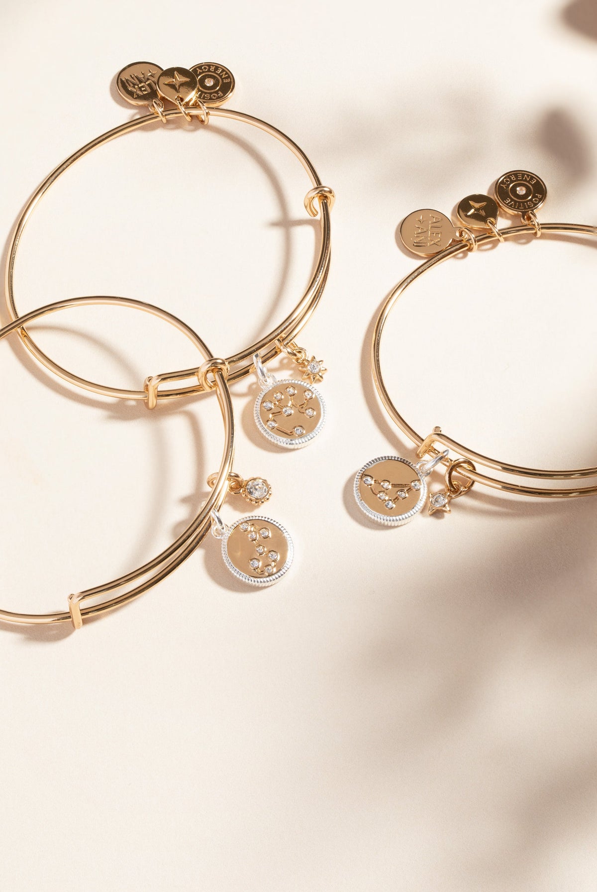 Alex and Ani Scorpio Zodiac Charm Bangle