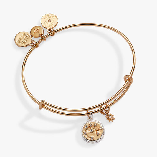 Alex and Ani Sagittarius Zodiac Charm Bangle