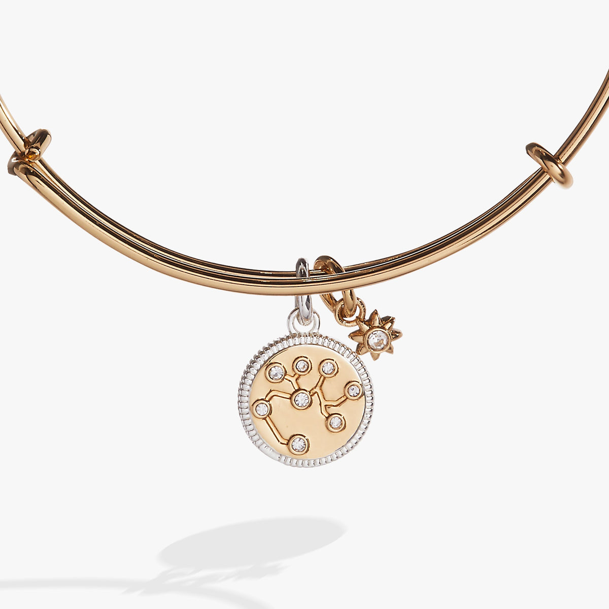 Alex and Ani Sagittarius Zodiac Charm Bangle