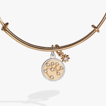 Alex and Ani Sagittarius Zodiac Charm Bangle
