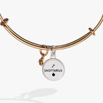 Alex and Ani Sagittarius Zodiac Charm Bangle