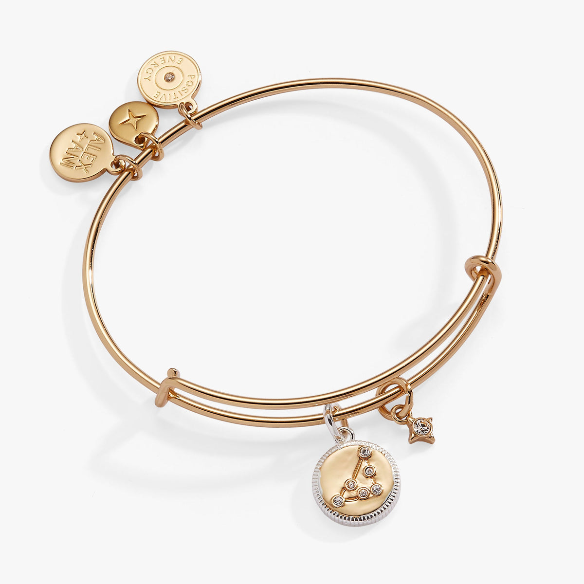 Alex and Ani Capricorn Zodiac Charm Bangle