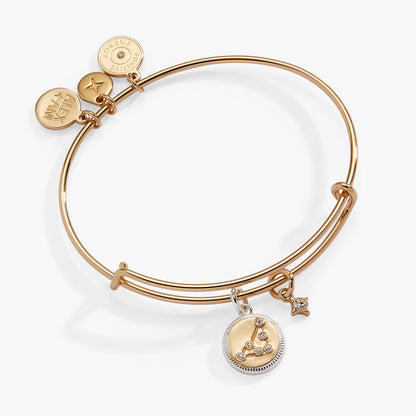 Alex and Ani Capricorn Zodiac Charm Bangle